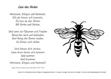 M-Lass-das-Necken-Fallersleben.pdf